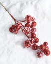 Red Iced Ball Spray 27in