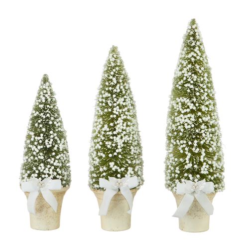 Potted Bottle Brush Tree Medium