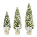 Potted Bottle Brush Tree Medium