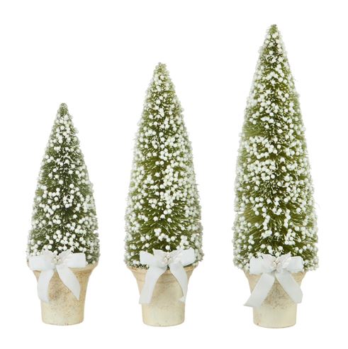 Potted Bottle Brush Tree Small