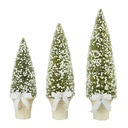 Potted Bottle Brush Tree Small