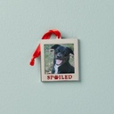 Lenox Picture Frame Charm Ornament "Spoiled Pet"
