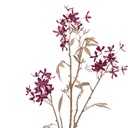 Chestnut Flower Stem 32in