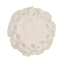 6.webp