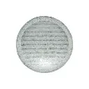 3.webp