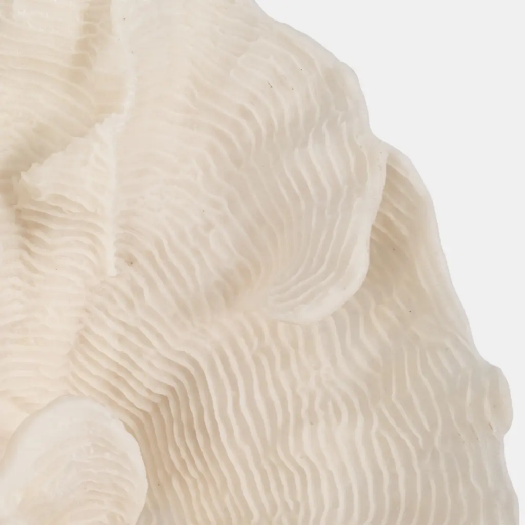 Coral Sculpture Ivory 12in (2).webp