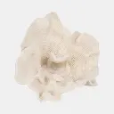 Coral Sculpture Ivory 12in (3).webp