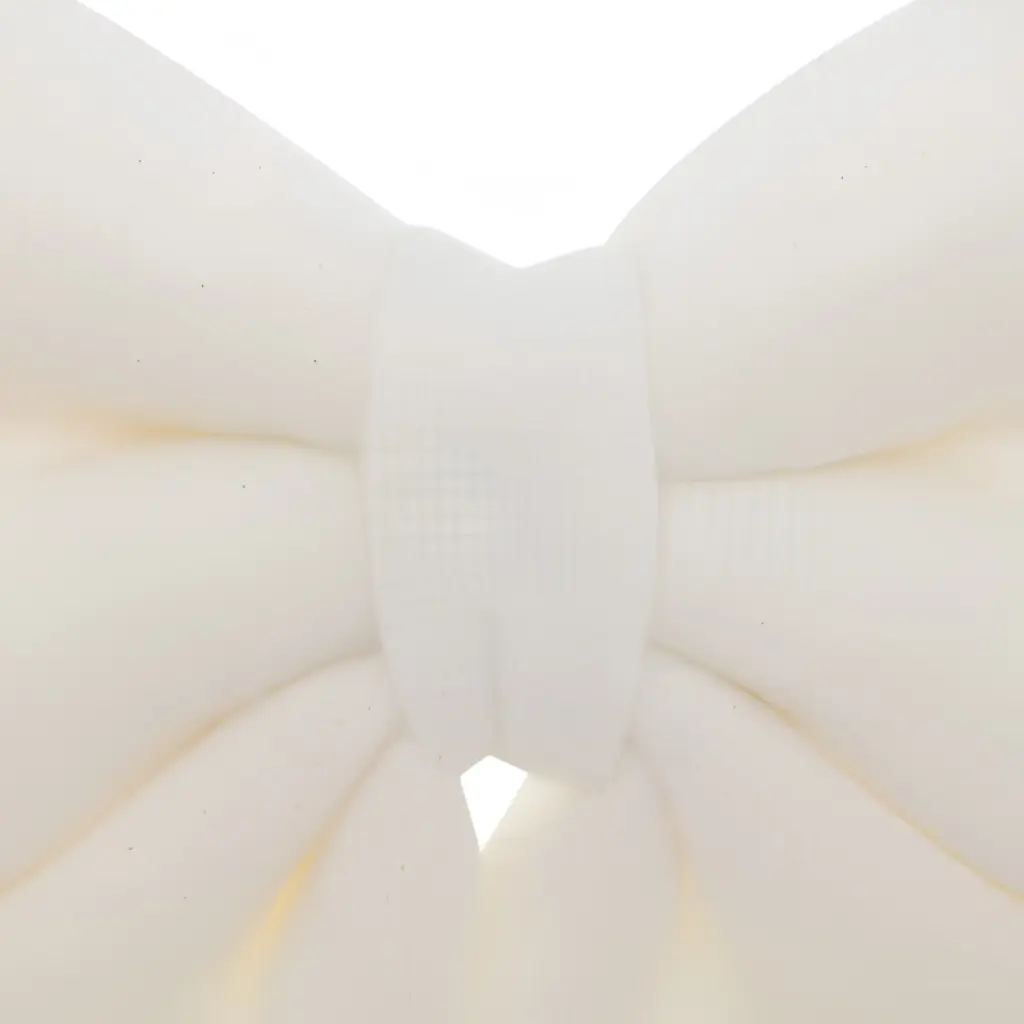 22.webp