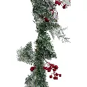 31.webp