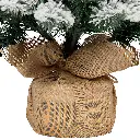 12.webp
