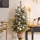 14.webp