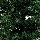 7.webp