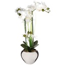 White Orchid in Silver Pot 20in