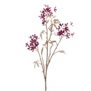 Chestnut Flower Stem 32in