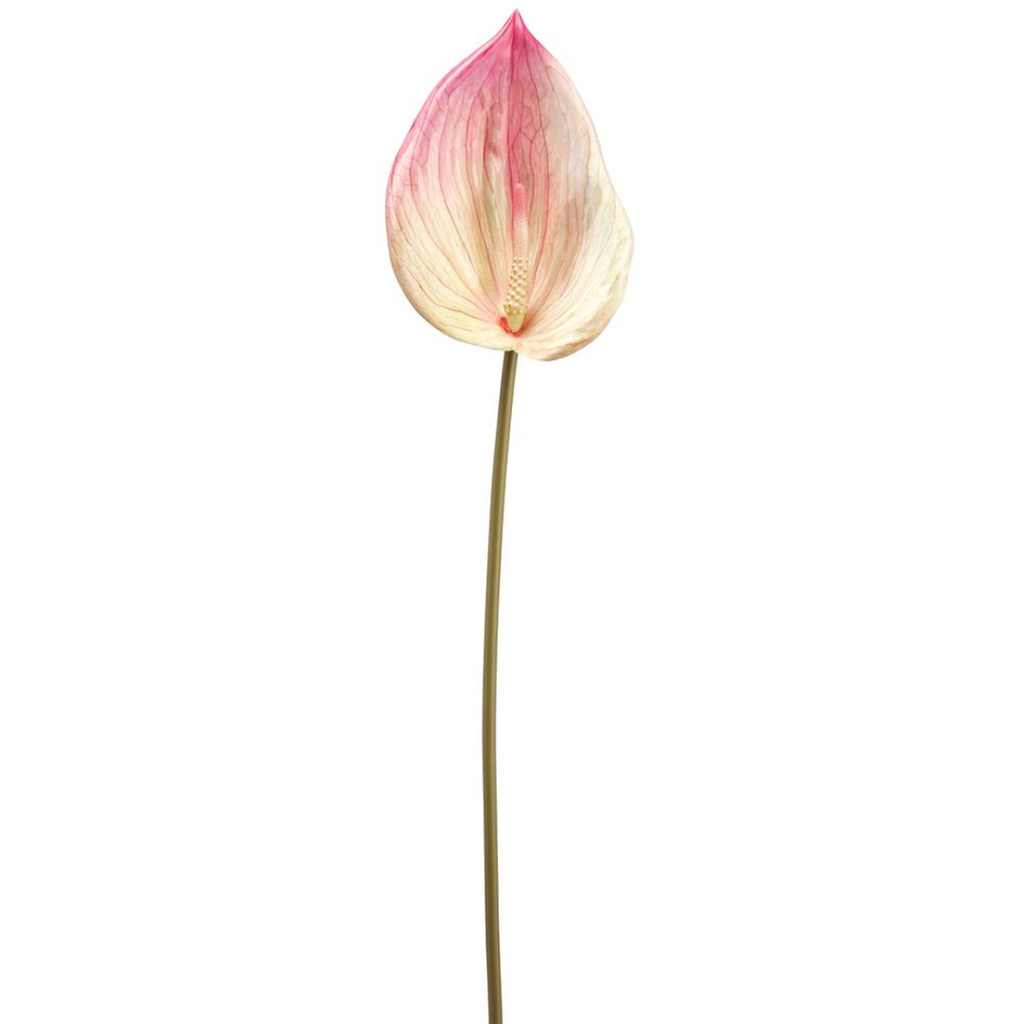 Anthurium Spray Pink 26in