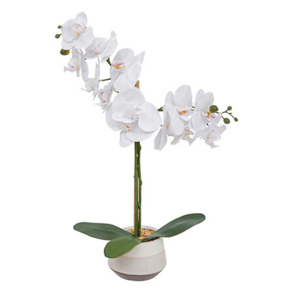 Orchid Ceramic Pot 20in