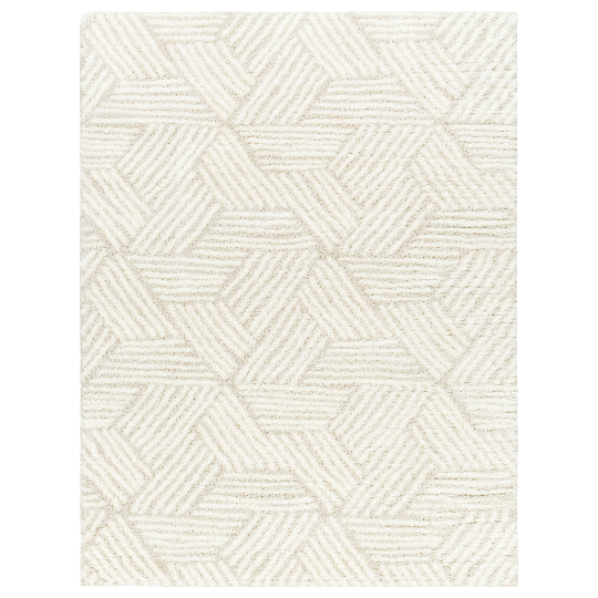 Cloudy Shag Rug 8x10ft