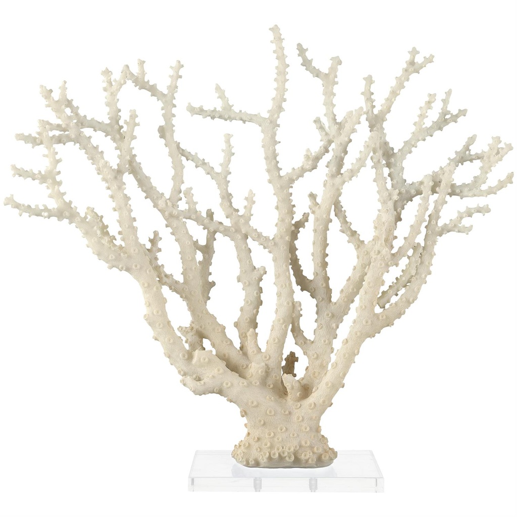 Cream Coral Sculpture With Acrylic Base 26x23in