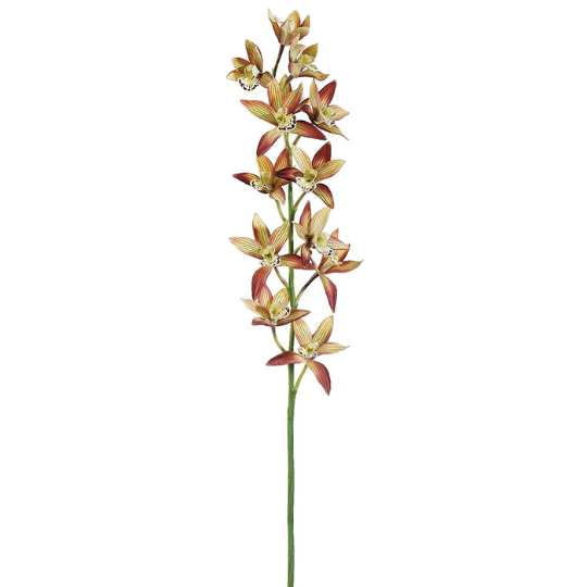 Cymbidum Orchid Spray Rust Yellow 38in