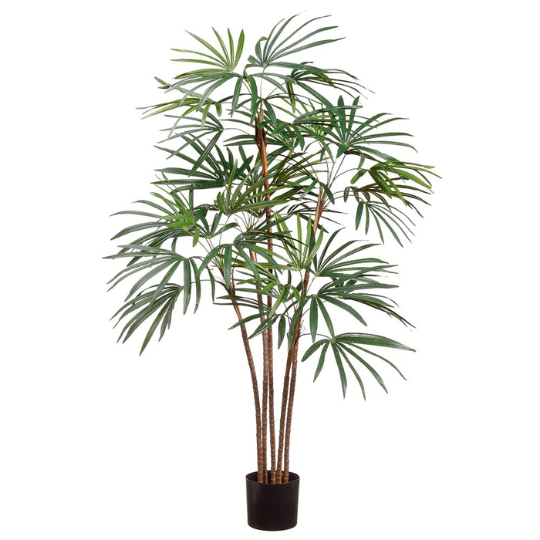 Honey Lady Palm Tree 59in