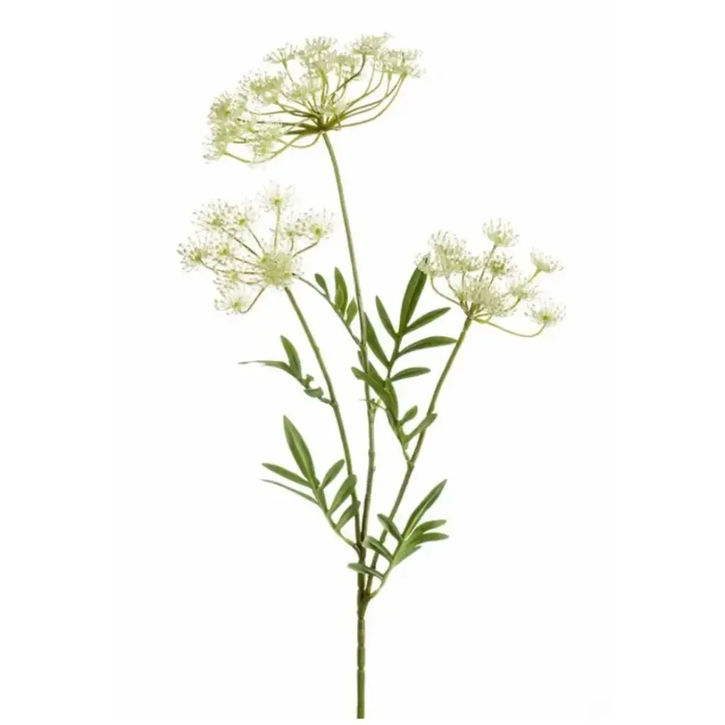 Dill Spray White 31.5in