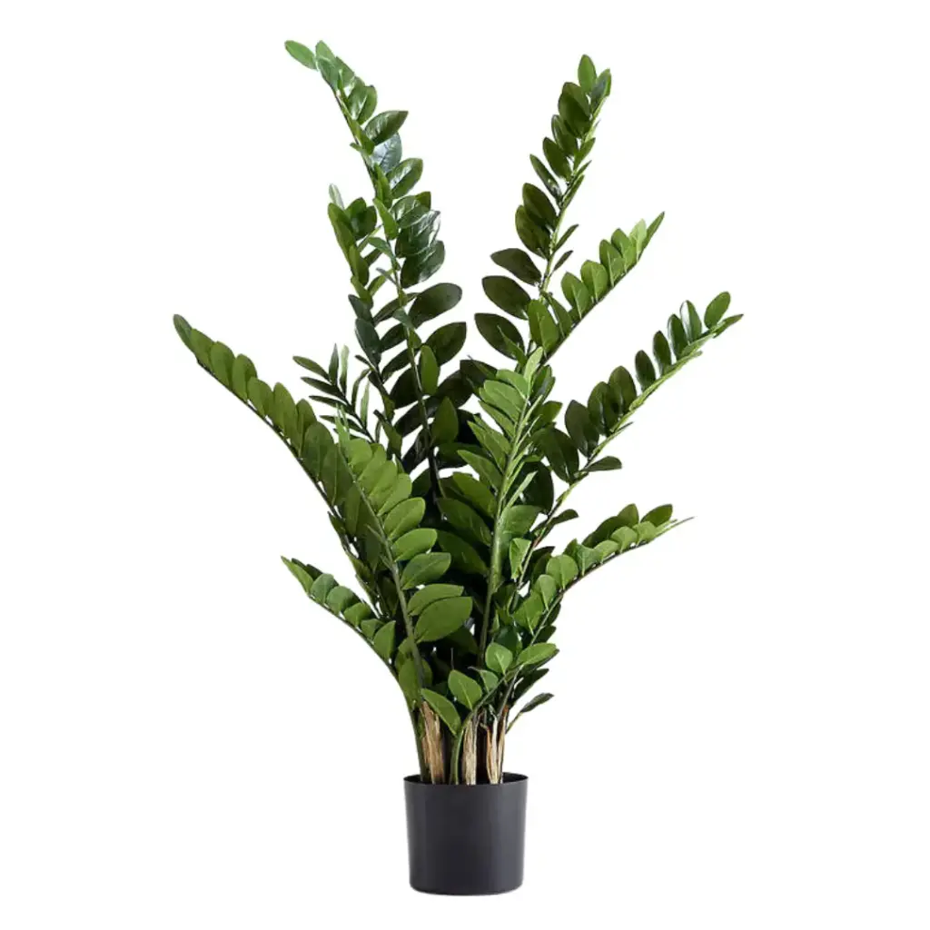 ZZ Plant 3.4ft