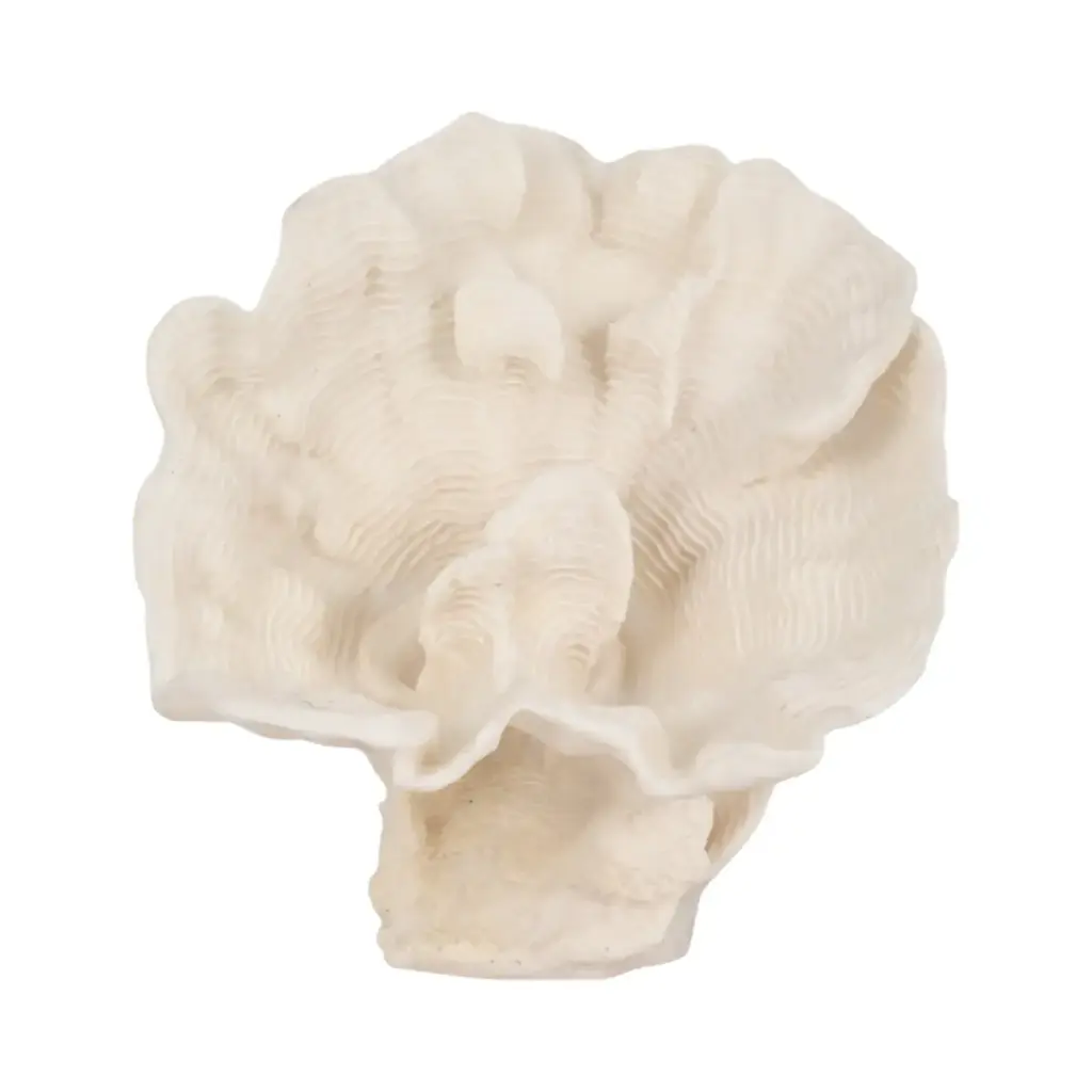 Coral Sculpture Ivory 12in 
