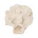 Coral Sculpture Ivory 12in 