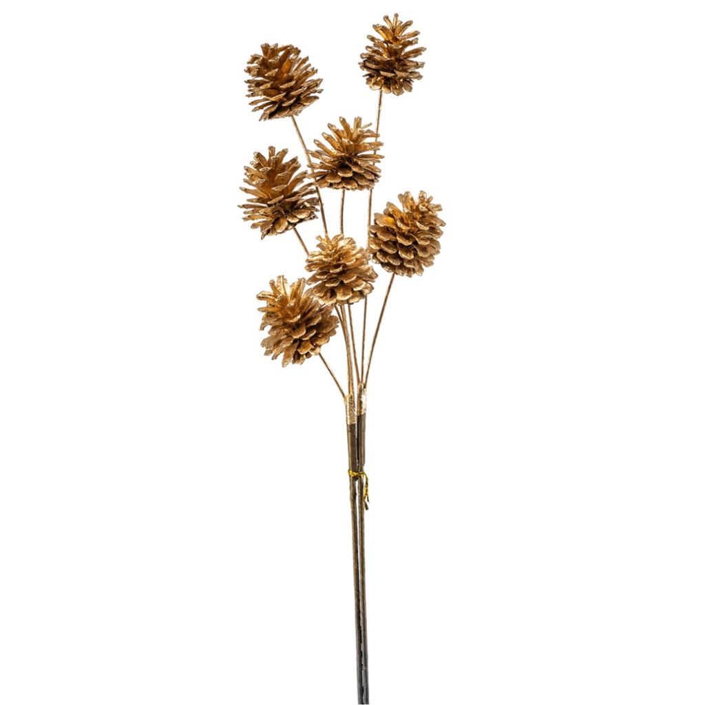 Cone Spray Gold 26in