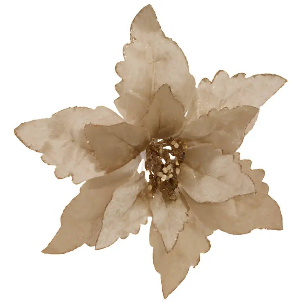 Poinsettia Ornament Champange 8in