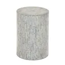 Blue Mother Of Pearl Inlay Accent Table 14x20in