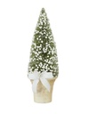 Potted Bottle Brush Tree Small