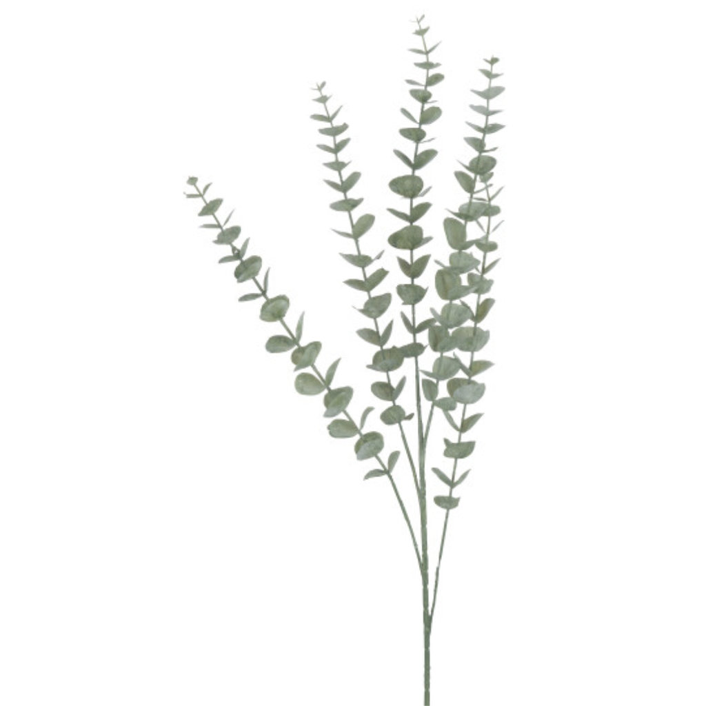 Eucalyptus Leaves 34in