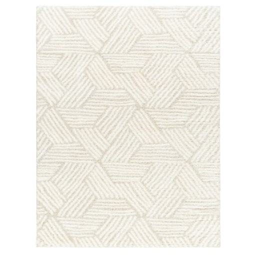 [168898-TT] Cloudy Shag Rug 5x7