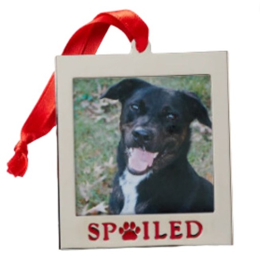 [169711-TT] Lenox Picture Frame Charm Ornament "Spoiled Pet"