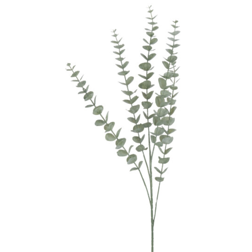 [171770-TT] Eucalyptus Leaves 34in