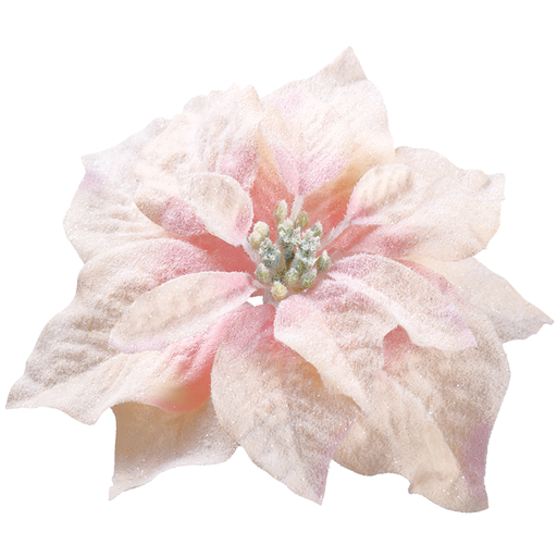 [171999-TT] Snowed Poinsettia with Clip Peach 7in