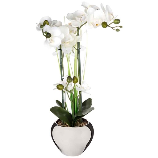 [173765-TT] White Orchid in Silver Pot 20in