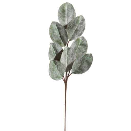 [174355-TT] Iced Magnolia Leaf Spray 25in