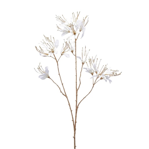 [174467-TT] Nerina Stelo White 30in