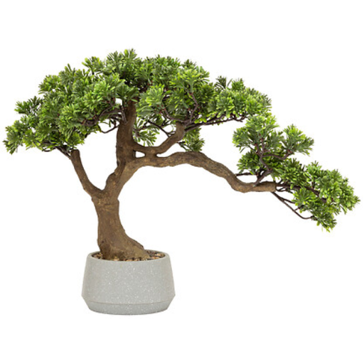 [178501-TT] Polin Bonsai Tree in Ceramic Pot 17.7in