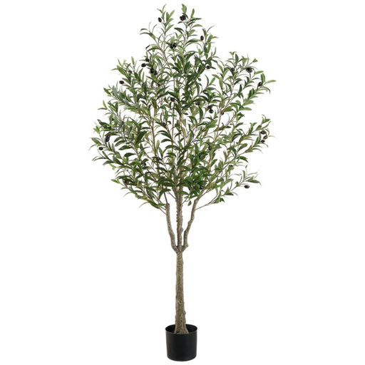 [178826-TT] Olive Tree 63in