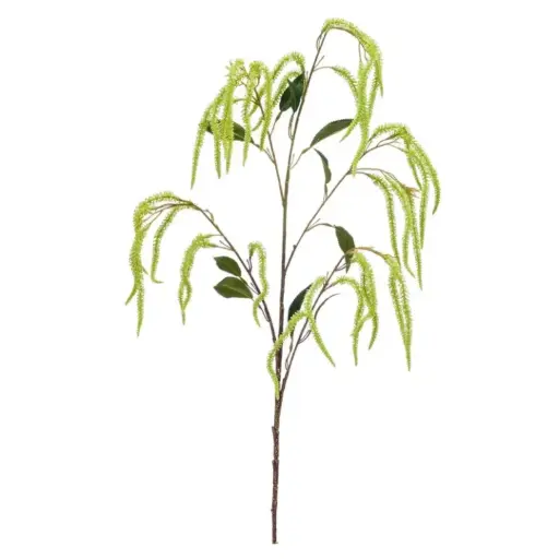 [179545-TT] Amaranthus Spray Green 39in