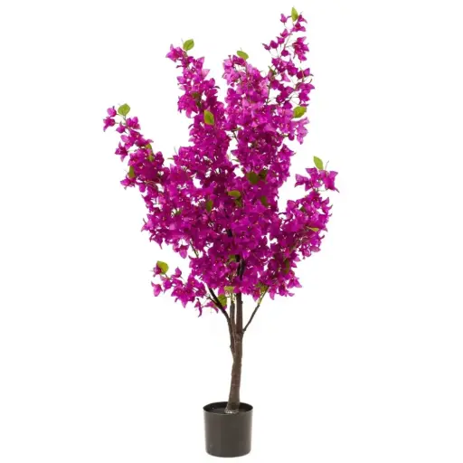 [179565-TT] Bougainvillea Tree Purple 57in