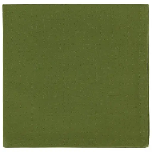 [181031-TT] Spectrum Napkin Fir Green 1pc