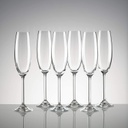 Tuscany Champagne Party Flute Set of 6