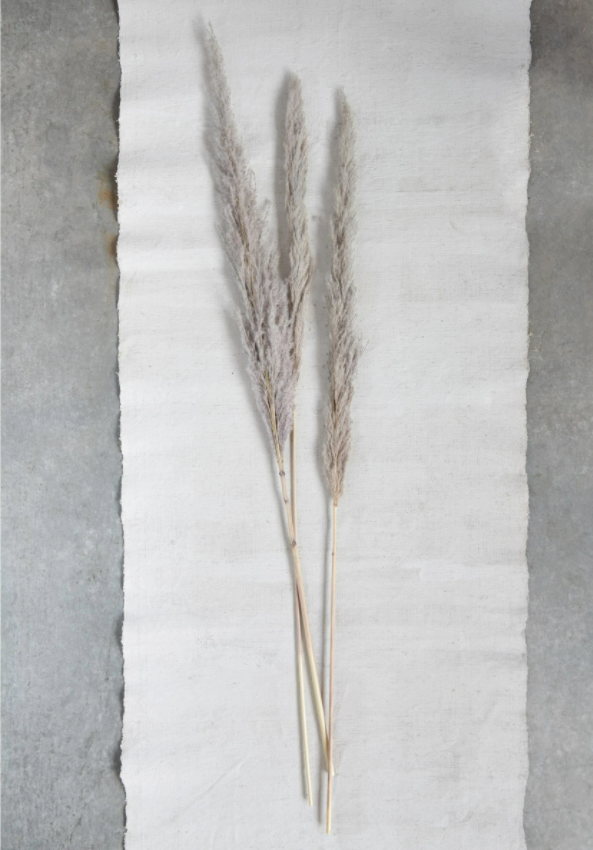 Dried  Pampas Grass Bunch Natural 43in