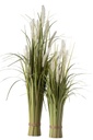 Feathered  Grass Plant  24in