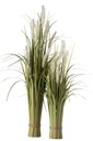 Feathered  Grass Plant  24in