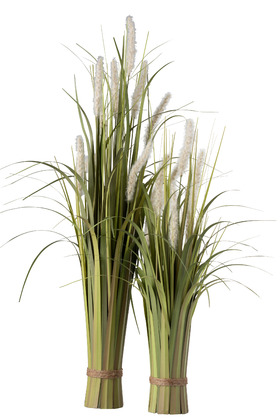 FeatheredGrass Plant  33in